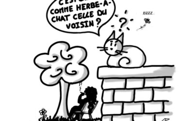 L’herbe n’est-elle pas plus verte ailleurs ?