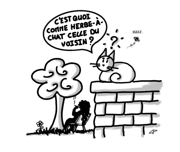 L’herbe n’est-elle pas plus verte ailleurs ?